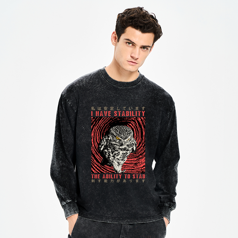 Tokyo-Tiger I Have Stability Owl Washed Long Sleeve T-Shirt