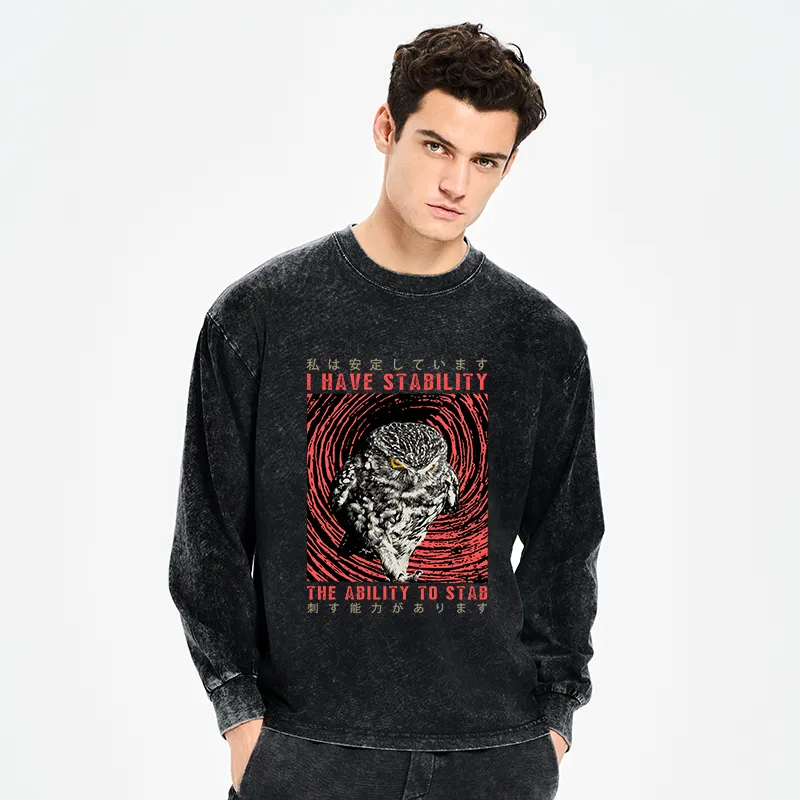 Tokyo-Tiger I Have Stability Owl Washed Long Sleeve T-Shirt