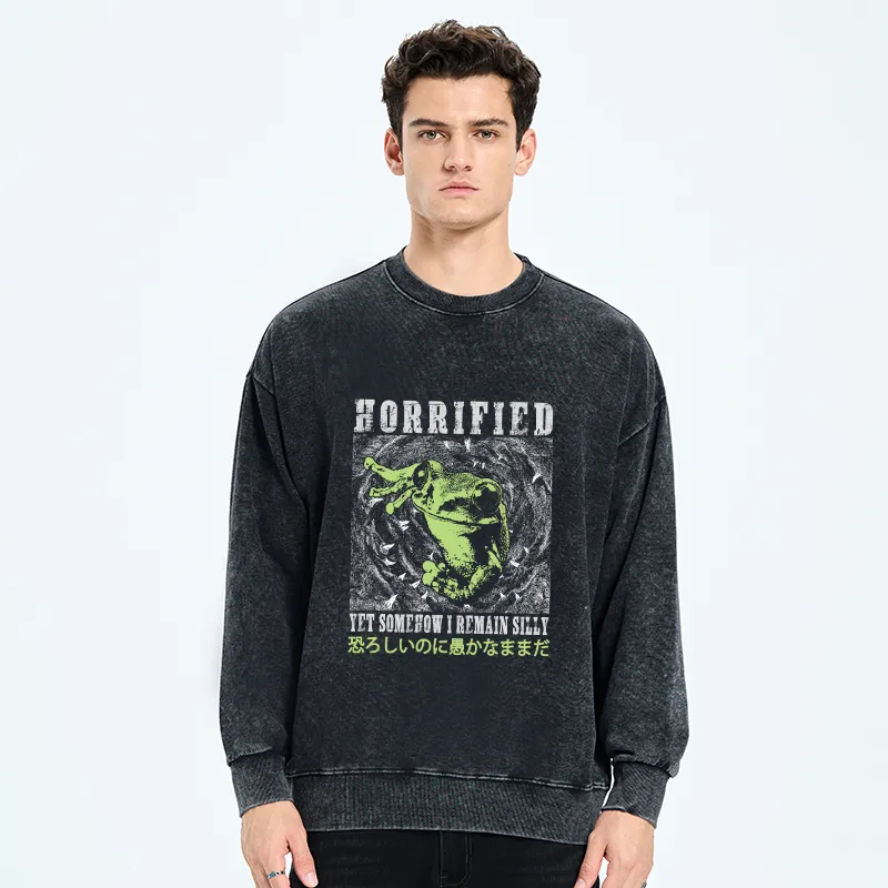 Tokyo-Tiger Silly Frog Japanese Washed Sweatshirt