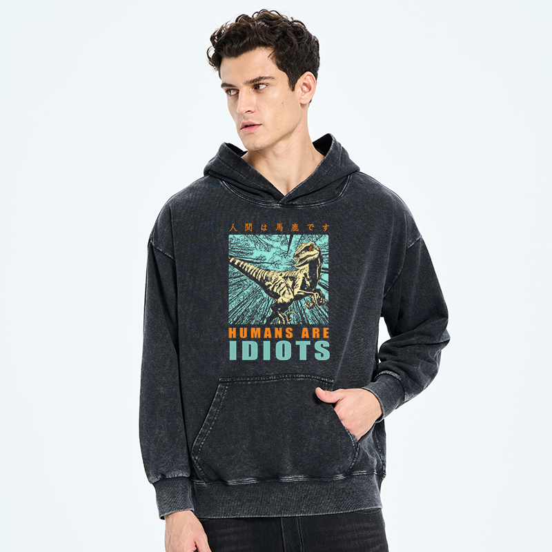 Tokyo-Tiger Mocking Dinosaurs Japanese Washed Hoodie