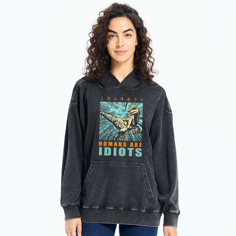 Tokyo-Tiger Mocking Dinosaurs Japanese Washed Hoodie