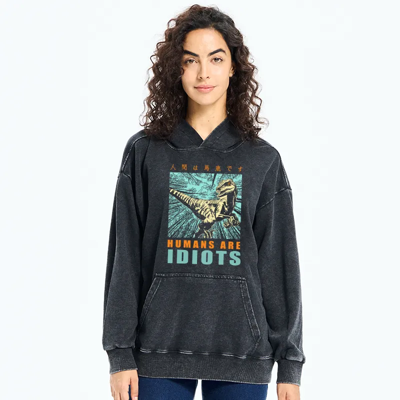 Tokyo-Tiger Mocking Dinosaurs Japanese Washed Hoodie