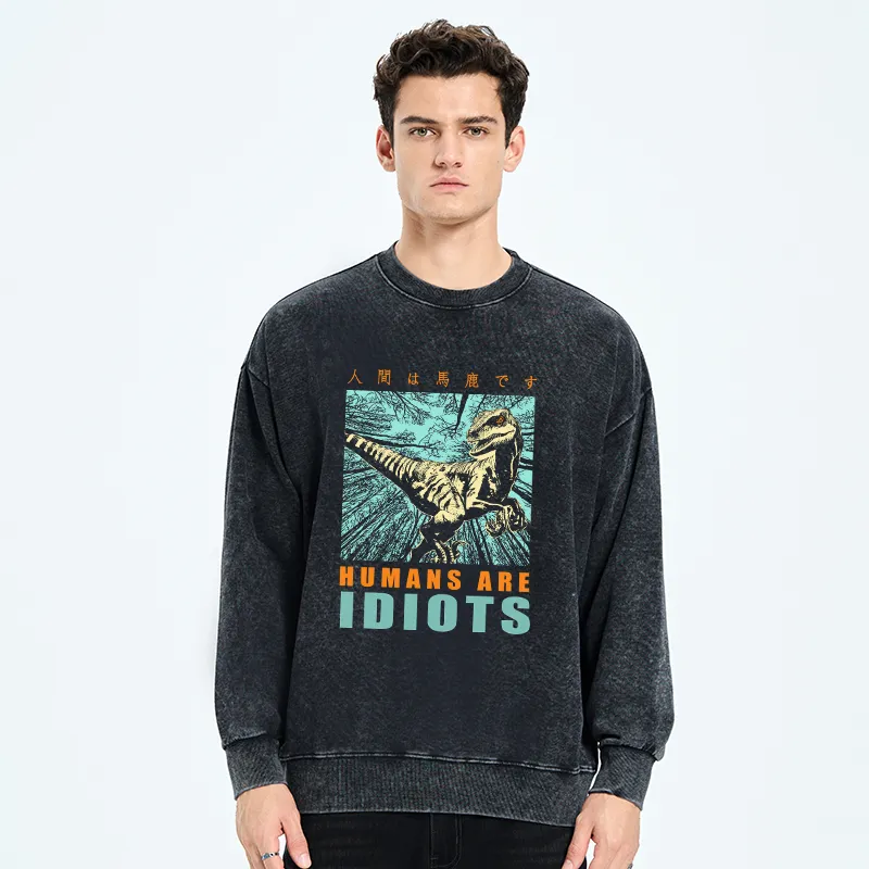 Tokyo-Tiger Mocking Dinosaurs Japanese Washed Sweatshirt