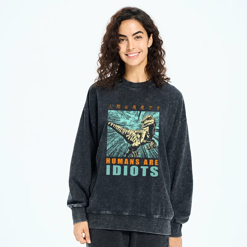 Tokyo-Tiger Mocking Dinosaurs Japanese Washed Sweatshirt