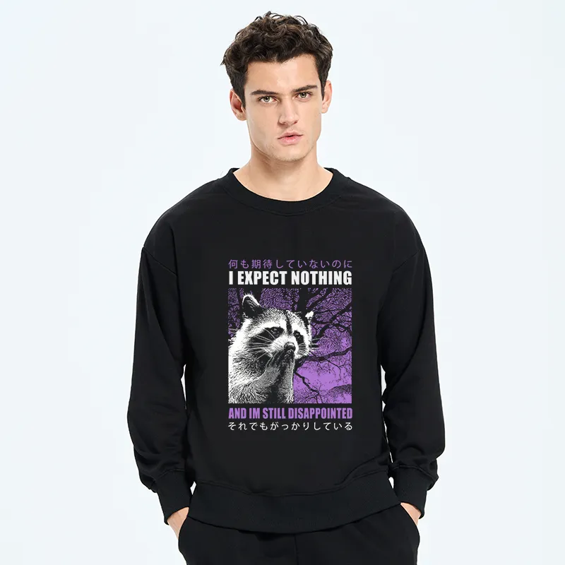 Tokyo-Tiger Disappointed Raccoon Japanese Sweatshirt
