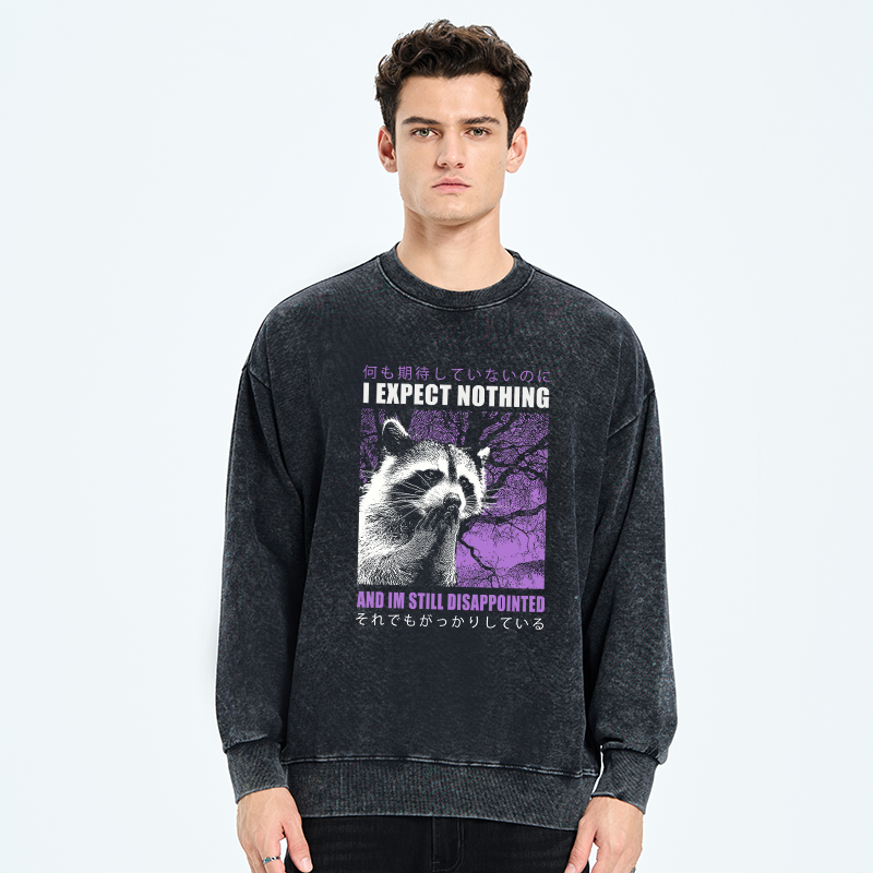 Tokyo-Tiger Disappointed Raccoon Japanese Washed Sweatshirt