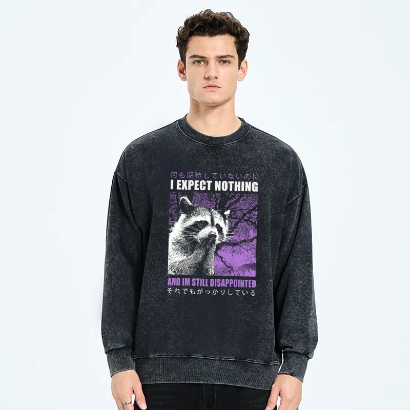 Tokyo-Tiger Disappointed Raccoon Japanese Washed Sweatshirt