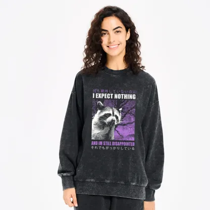 Tokyo-Tiger Disappointed Raccoon Japanese Washed Sweatshirt