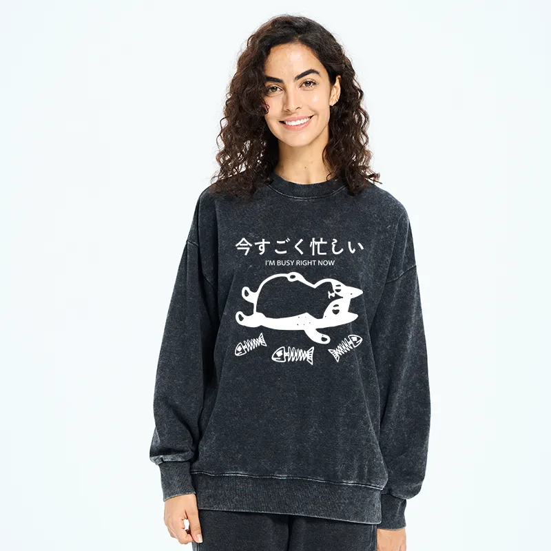 Tokyo-Tiger I'm Busy Right Now Washed Sweatshirt