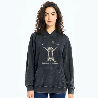 Tokyo-Tiger Happy Mouse Japanese Washed Hoodie