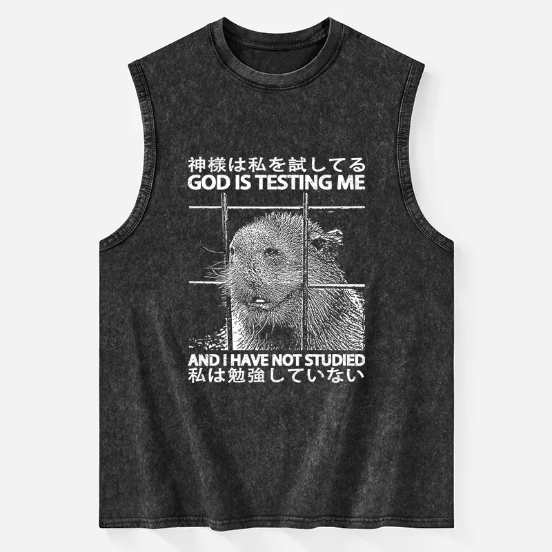 Tokyo-Tiger God Is Testing Me Washed Tank