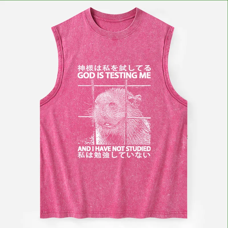 Tokyo-Tiger God Is Testing Me Washed Tank