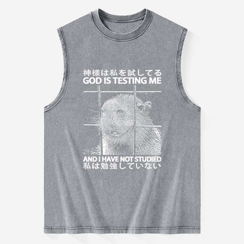 Tokyo-Tiger God Is Testing Me Washed Tank