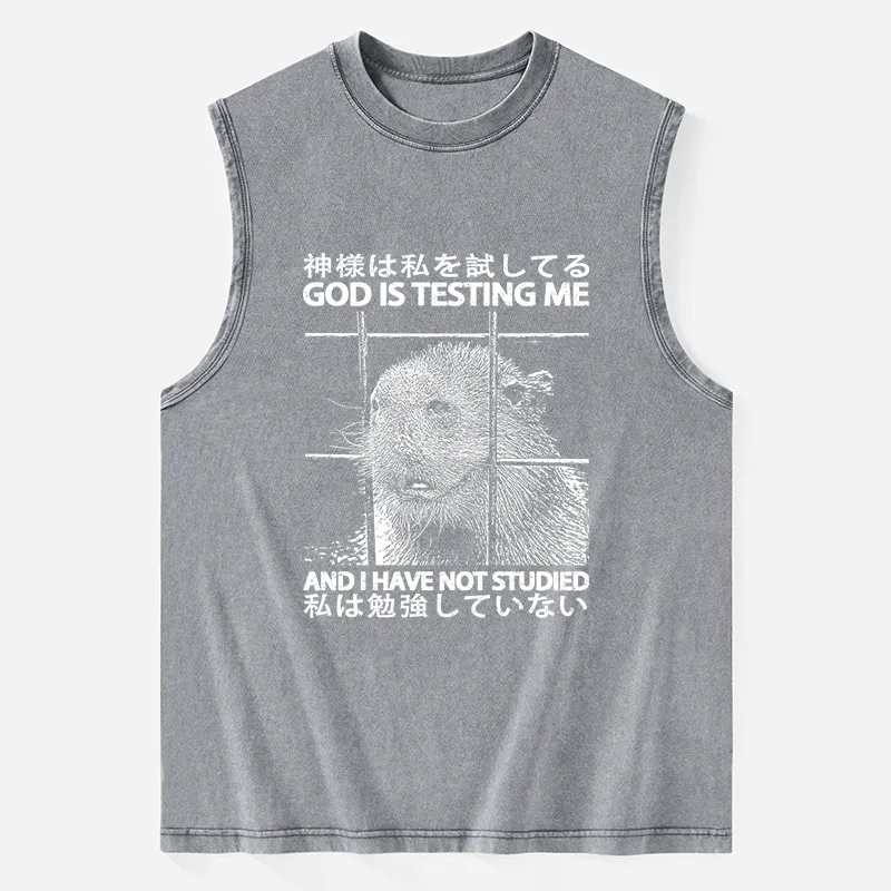 Tokyo-Tiger God Is Testing Me Washed Tank