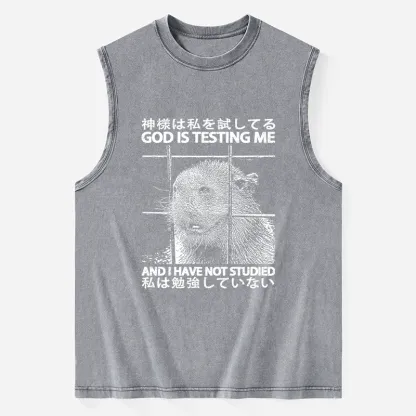 Tokyo-Tiger God Is Testing Me Washed Tank