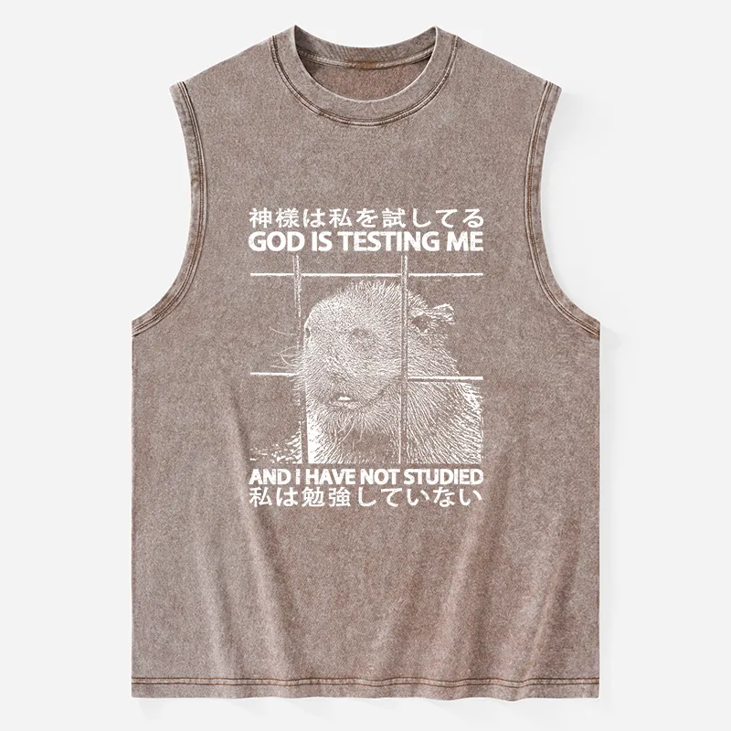 Tokyo-Tiger God Is Testing Me Washed Tank