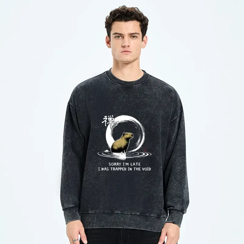 Tokyo-Tiger Zen Capybara Was Trapped In The Void Washed Sweatshirt