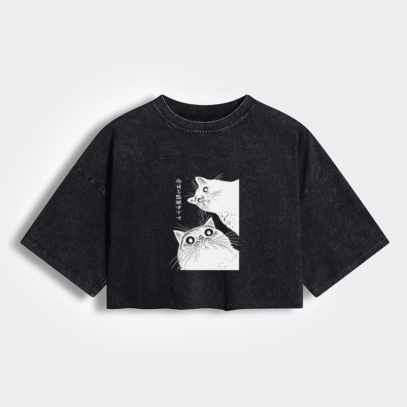 Tokyo-Tiger The Cat Is Watching Today Women's Washed Crop T-Shirt