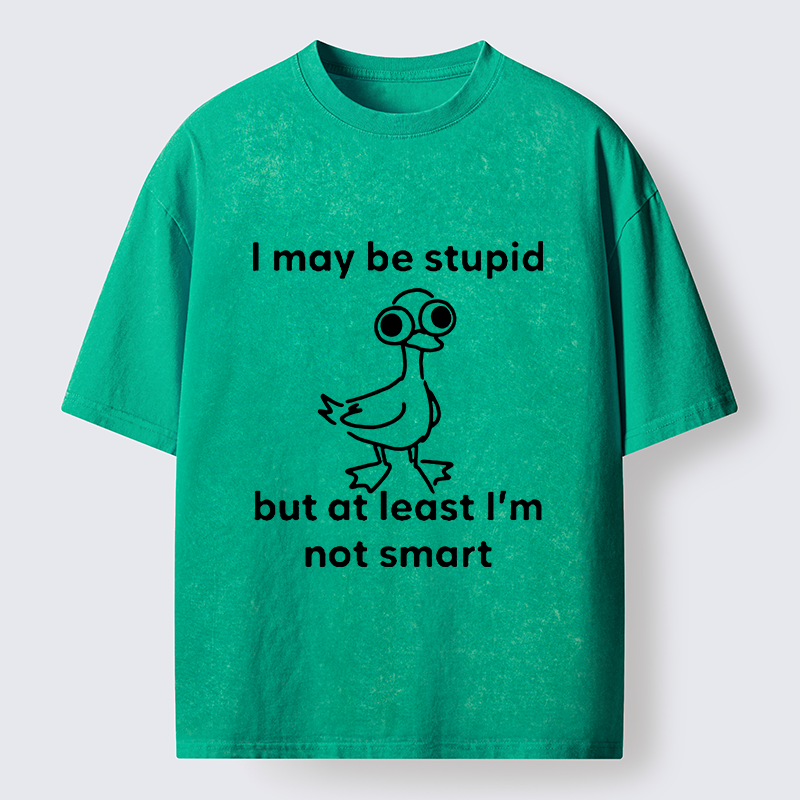 Tokyo‑Tiger Silly Duck Meme Washed T‑Shirt