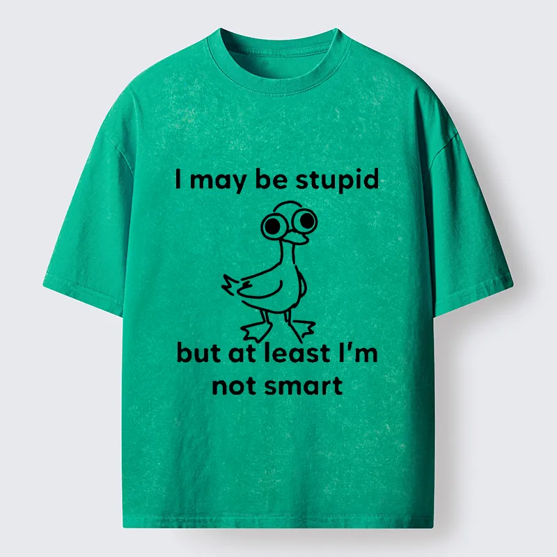 Tokyo‑Tiger Silly Duck Meme Washed T‑Shirt