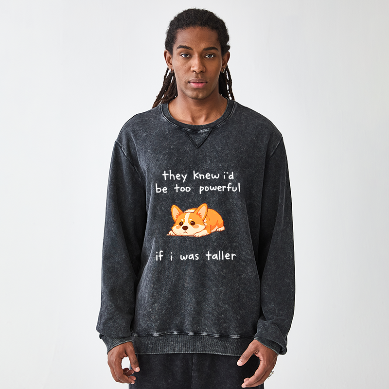Tokyo-Tiger Funny Short Dog Joke Washed Terry Sweatshirt