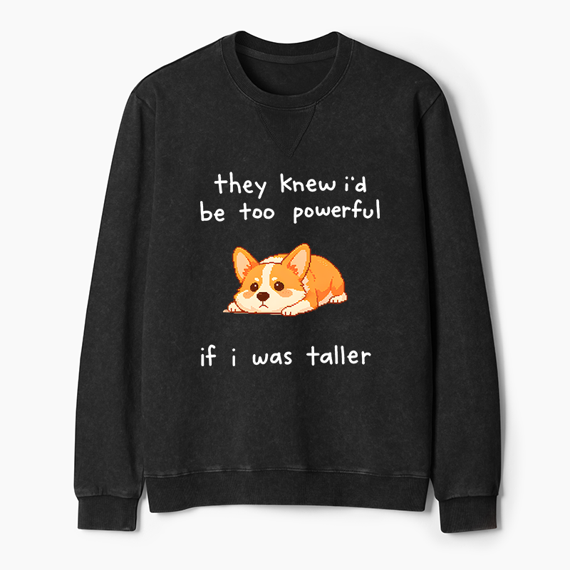 Tokyo-Tiger Funny Short Dog Joke Washed Terry Sweatshirt