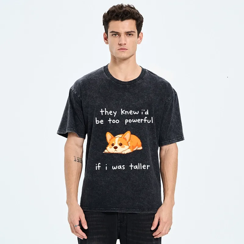 Tokyo-Tiger Funny Short Dog Joke Washed T-Shirt