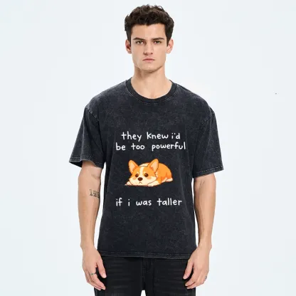 Tokyo-Tiger Funny Short Dog Joke Washed T-Shirt