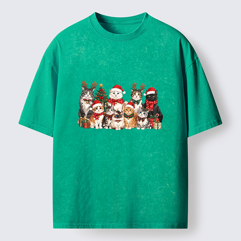 Tokyo-Tiger Christmas Cat Crew Washed T-Shirt