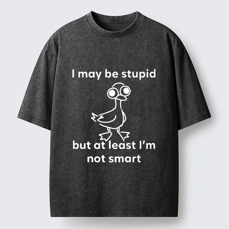 Tokyo‑Tiger Silly Duck Meme Washed T‑Shirt
