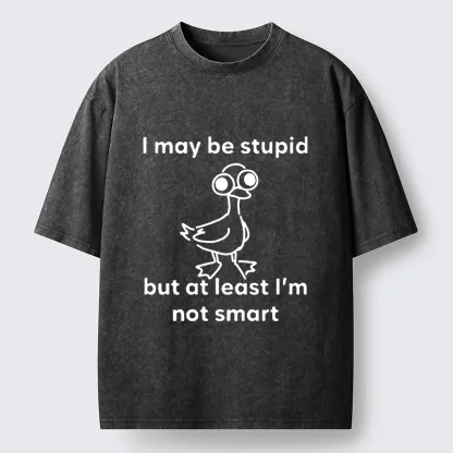 Tokyo‑Tiger Silly Duck Meme Washed T‑Shirt