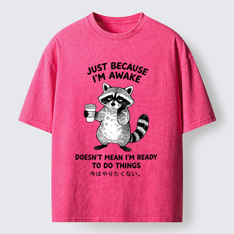 Tokyo-Tiger Tired Raccoon Coffee Washed T-Shirt