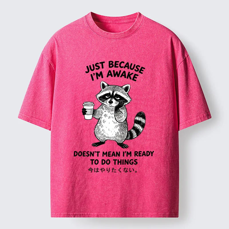 Tokyo-Tiger Tired Raccoon Coffee Washed T-Shirt