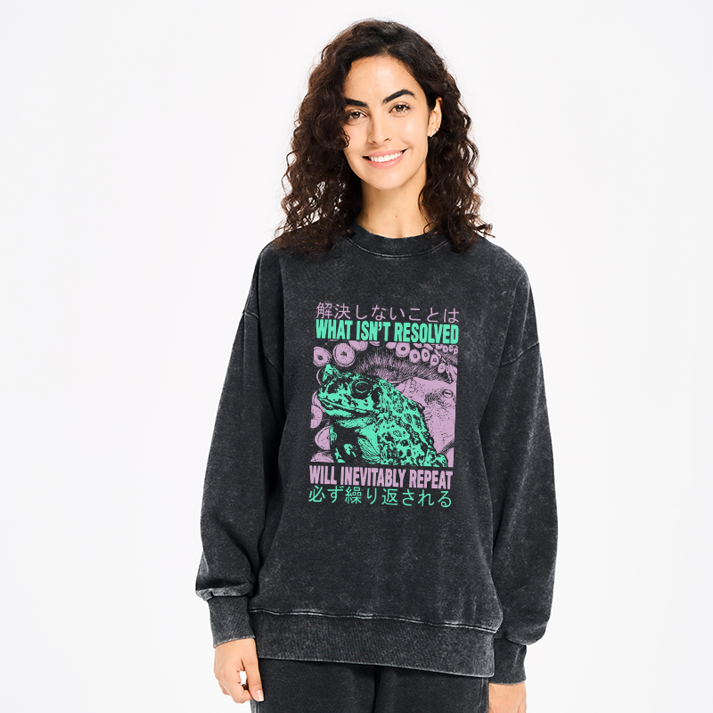 Tokyo-Tiger What Ist Resolved Forg Washed Sweatshirt