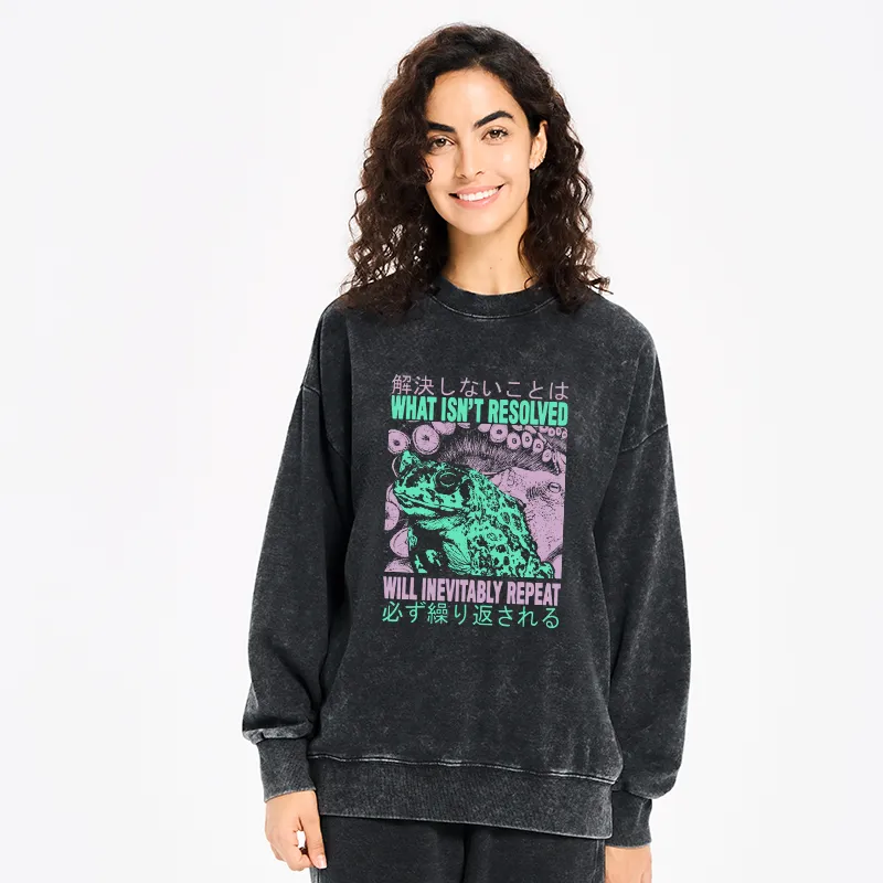 Tokyo-Tiger What Ist Resolved Forg Washed Sweatshirt