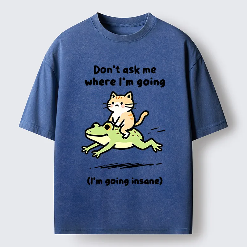 Tokyo‑Tiger Cat Riding Frog Meme Washed T-Shirt