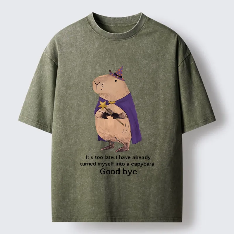 Tokyo‑Tiger Funny Wizard Capybara Washed T‑Shirt