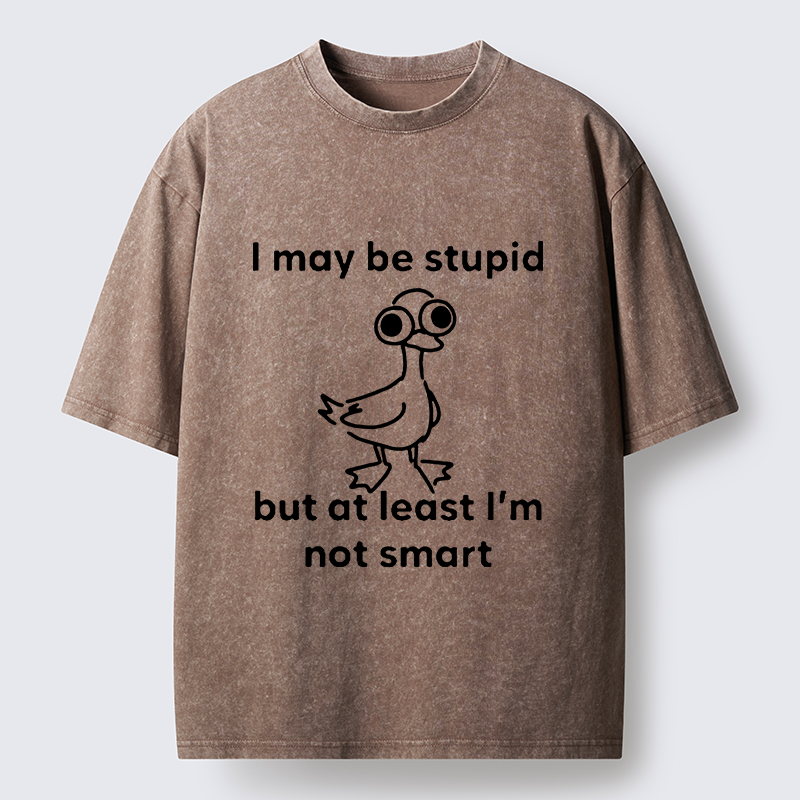 Tokyo‑Tiger Silly Duck Meme Washed T‑Shirt