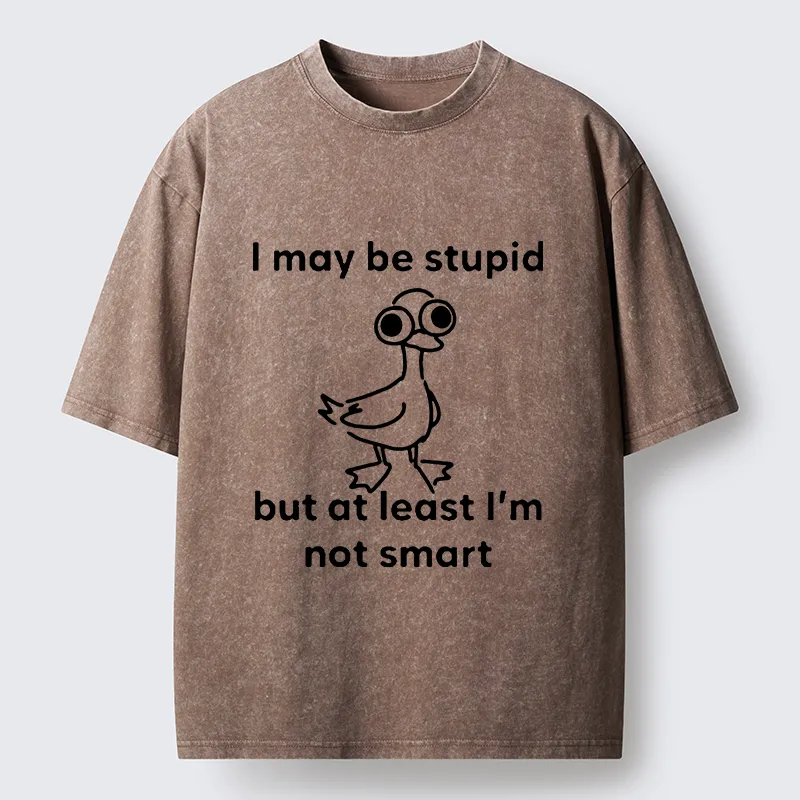 Tokyo‑Tiger Silly Duck Meme Washed T‑Shirt