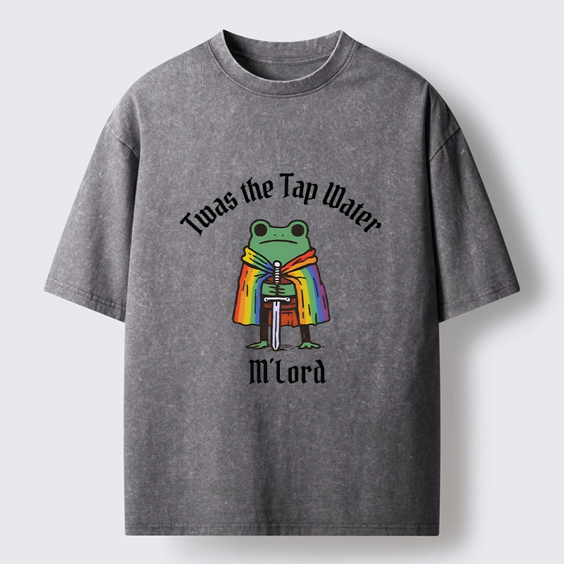 Tokyo-Tiger Funny Rainbow Cloak Frog With Sharp Sword Washed T-Shirt