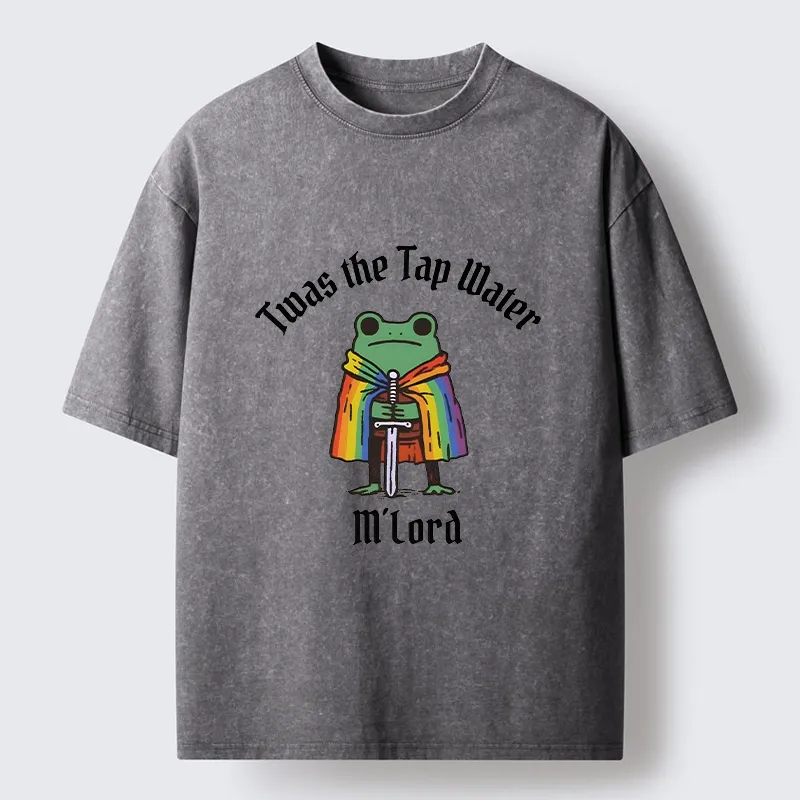 Tokyo-Tiger Funny Rainbow Cloak Frog With Sharp Sword Washed T-Shirt