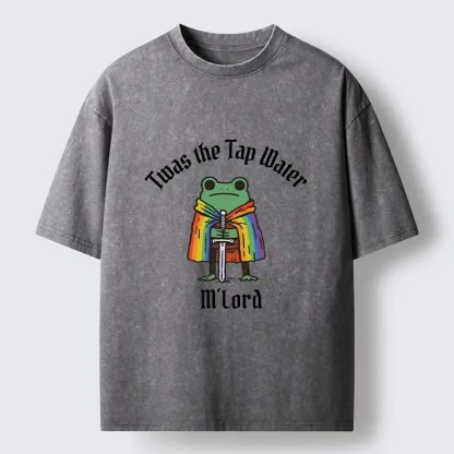 Tokyo-Tiger Funny Rainbow Cloak Frog With Sharp Sword Washed T-Shirt