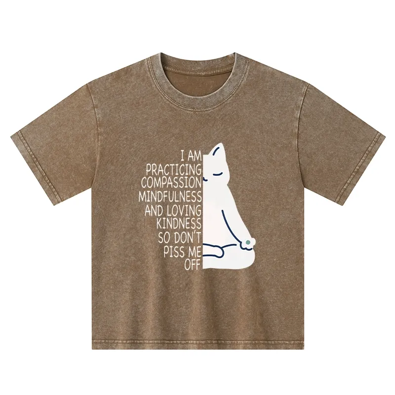 Tokyo-Tiger Calm Black Cat With Anger Issues Kids Washed T-Shirt