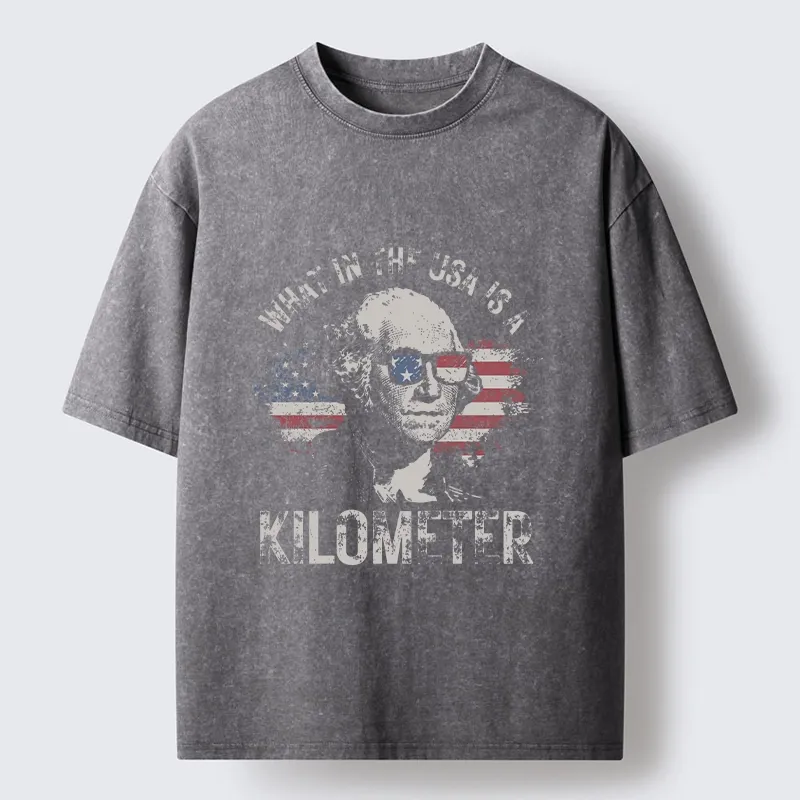 Tokyo-Tiger Patriotic Flag Lens Washington Humor Design Washed T-Shirt