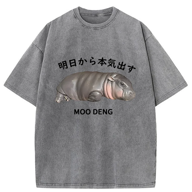 Tokyo-Tiger Lazy Moo Deng Washed T-Shirt