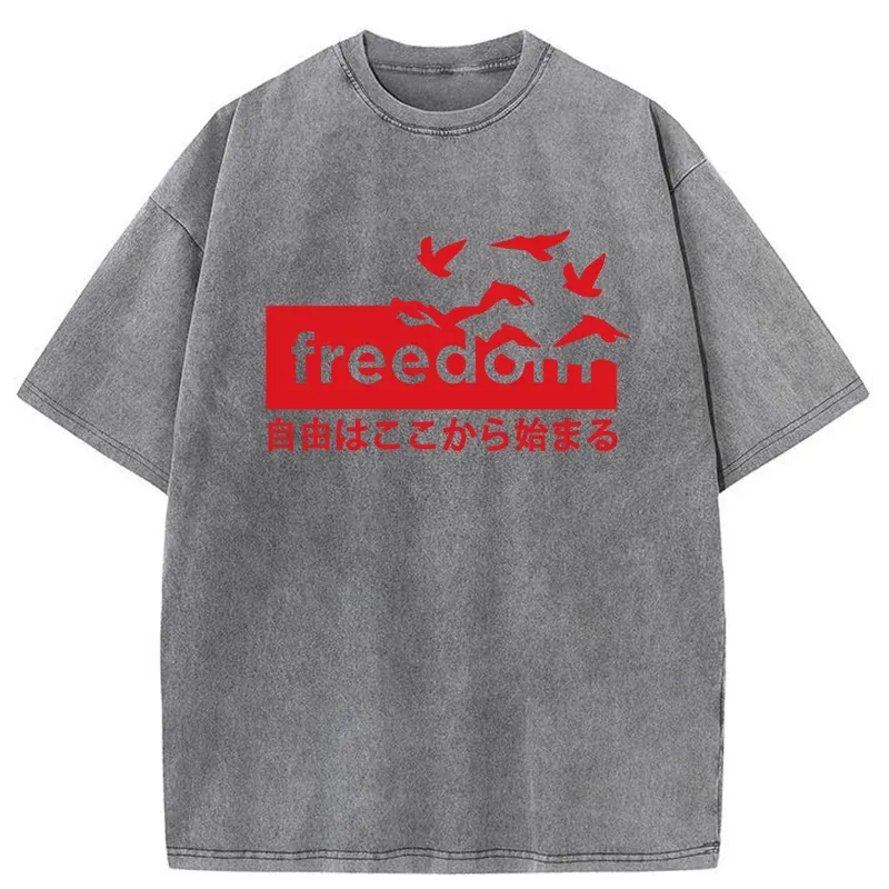 Tokyo-Tiger Freedom Japanese Washed T-Shirt