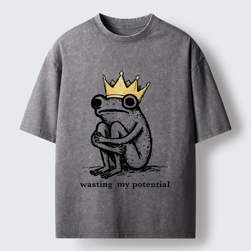 Tokyo-Tiger Crown Frog Wasted Potential Meme Washed T-Shirt