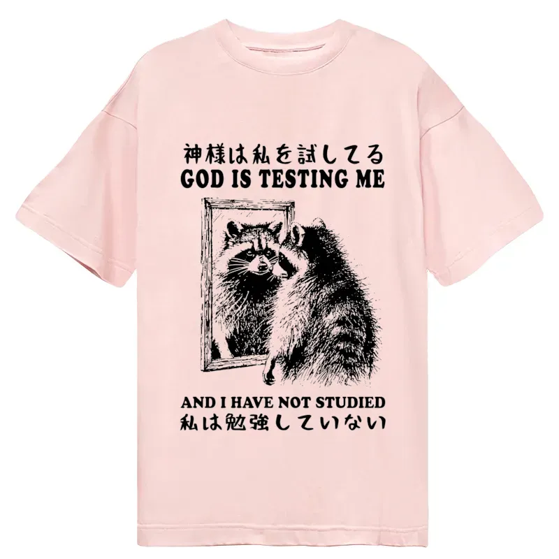 Tokyo-Tiger Raccoon Not Studied Classic T-Shirt
