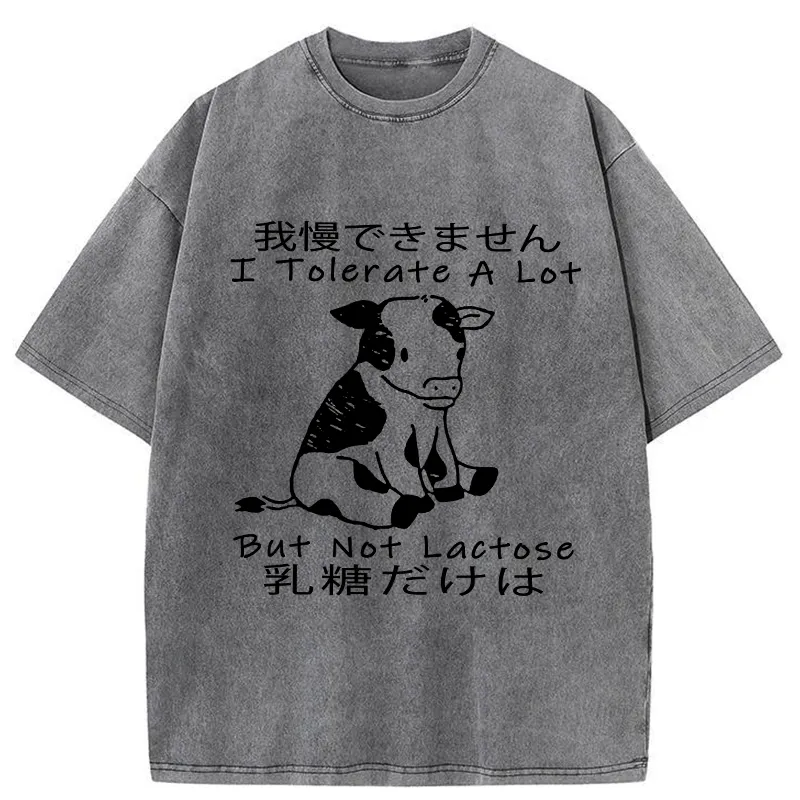 Tokyo-Tiger I Can't Tolerate Lactose Washed T-Shirt