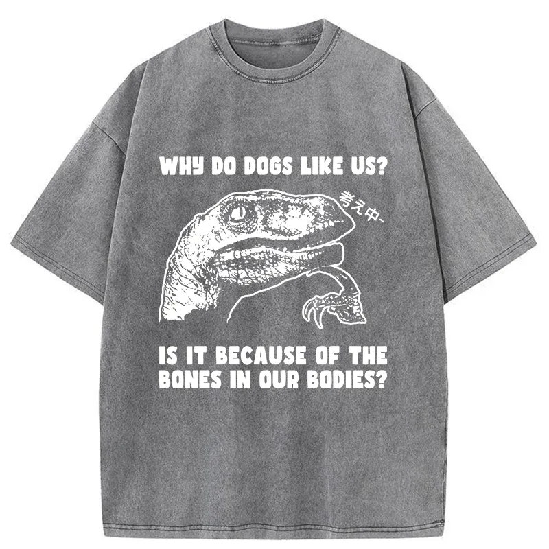 Tokyo-Tiger Thinking Philosoraptor Washed T-Shirt